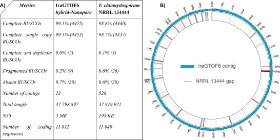 Fig 2_Fusarium