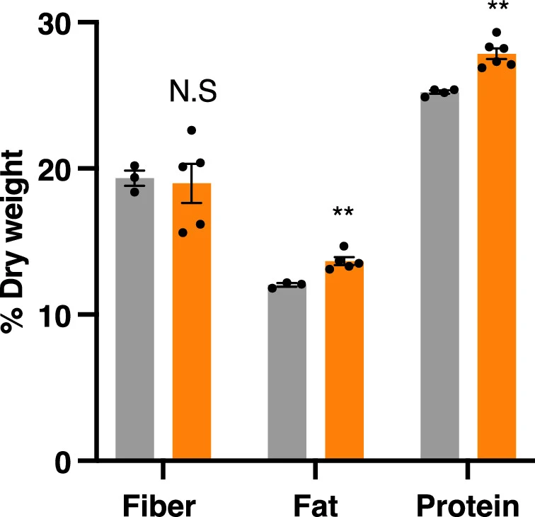 Fig. 3 ext_Neurospora intermedia