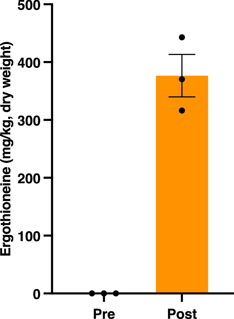Fig. 4 ext_Neurospora intermedia