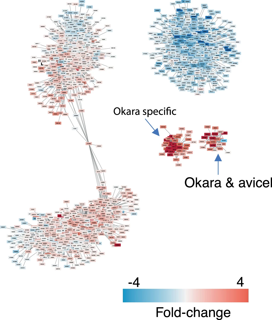 Fig. 5 ext_Neurospora intermedia