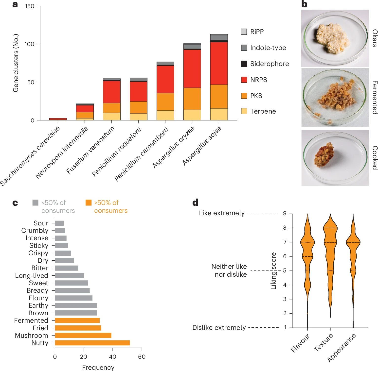 Fig. 5_Neurospora intermedia