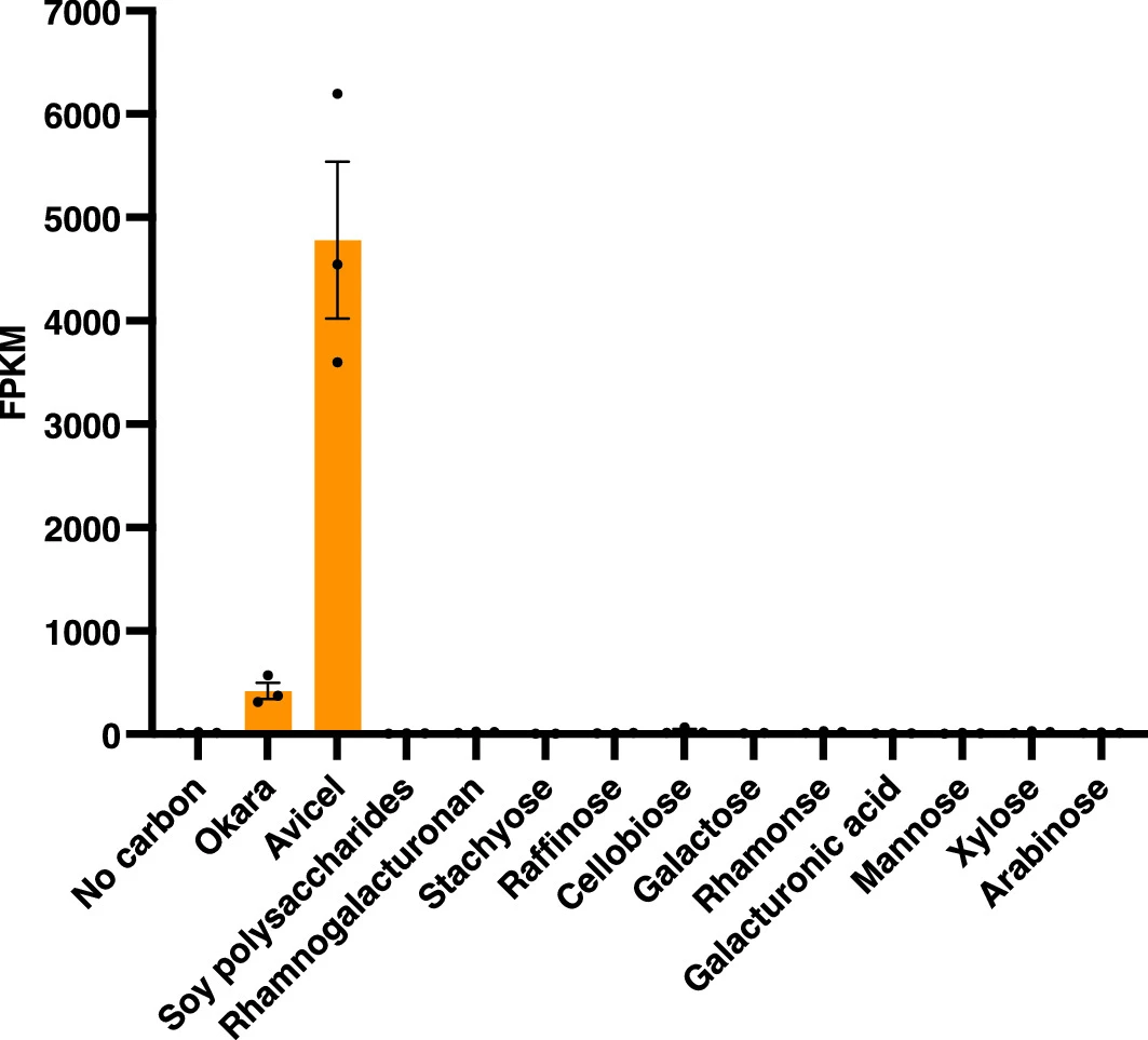 Fig. 8 ext_Neurospora intermedia