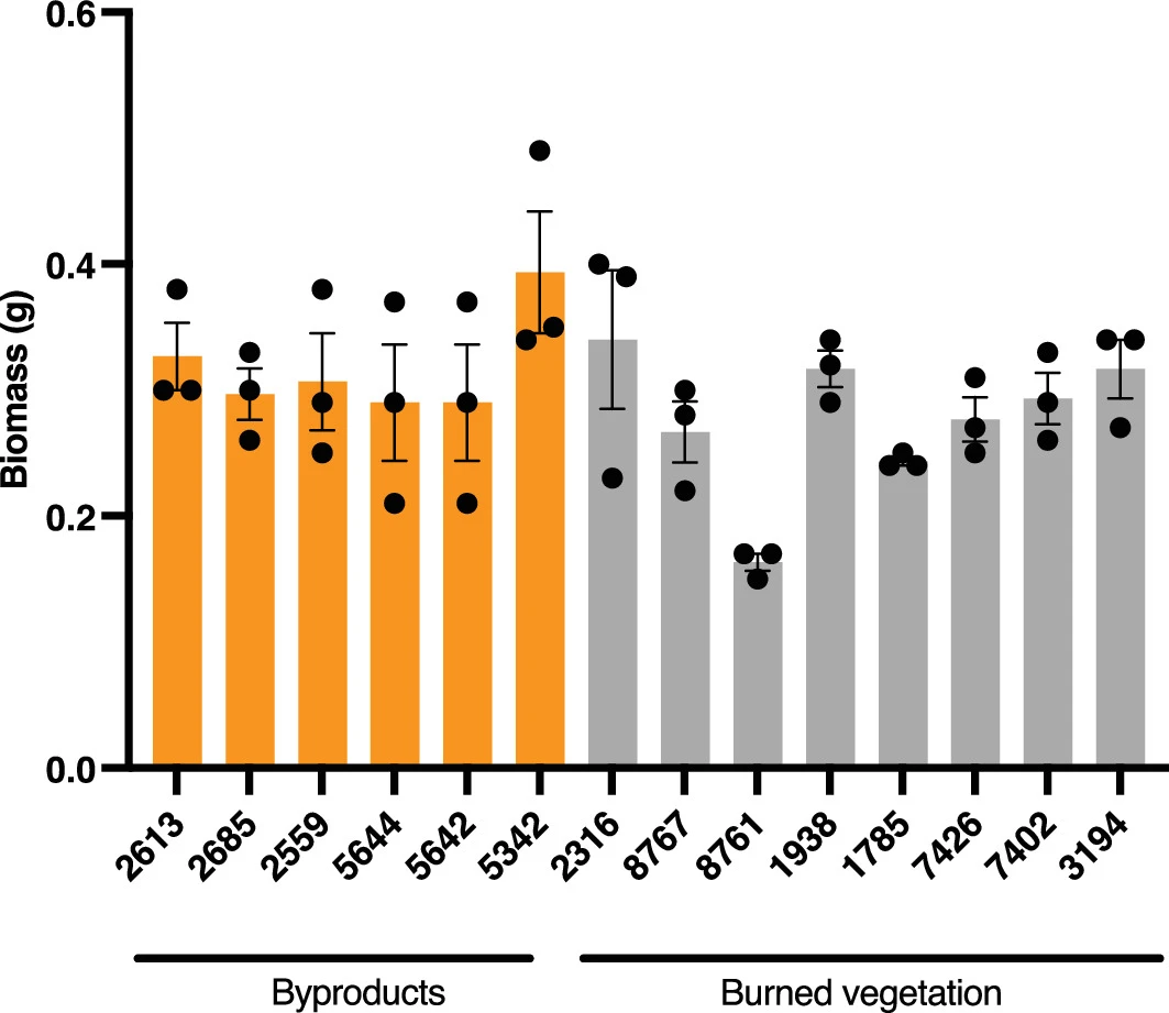 Fig. 9 ext_Neurospora intermedia